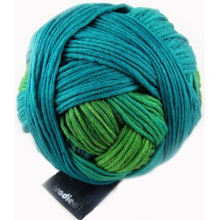 Gradient 1395 1878_In der Wiese von Schoppel Wolle