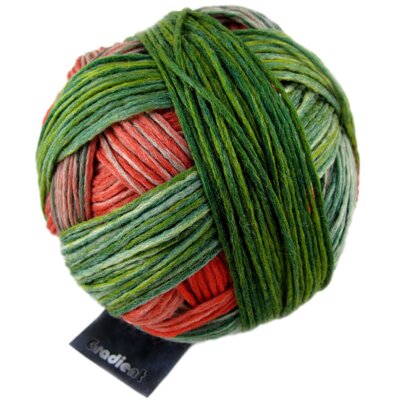 Gradient 1395 1701_Papagei von Schoppel Wolle