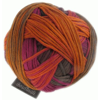 Gradient 1395 2199_Alter Schwede von Schoppel Wolle