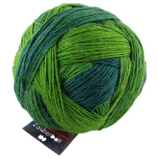 Zauberball 100 Evergreen 1391 2168_ von Schoppel Wolle