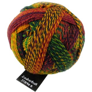 Zauberball Stärke 6  von Schoppel Wolle
