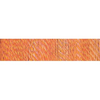 Admiral 6 fach ombré Schoppel Wolle