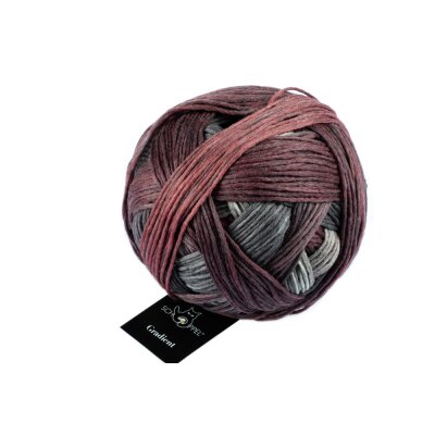 Gradient 1395 2402_Aldebaran von Schoppel Wolle