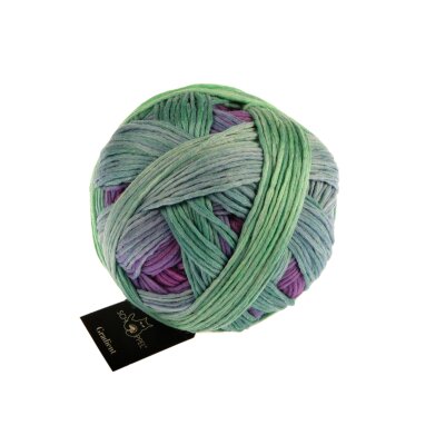 Gradient 1395 2437_Alles Paletti von Schoppel Wolle