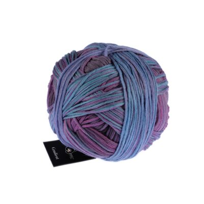 Gradient 1395 2480_Moonbar von Schoppel Wolle