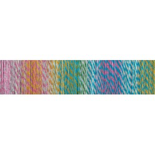 Crazy Cotton Stärke 4  von Schoppel Wolle Sommermärchen 1861 2367_