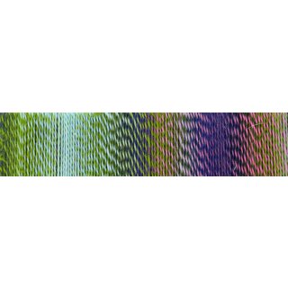 Zauberball Crazy von Schoppel Wolle Blasser Schimmer 2170_