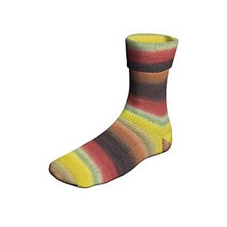 Super Soxx Color 6-fach von Lang Yarns