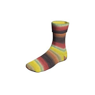 Super Soxx Color 6-fach von Lang Yarns