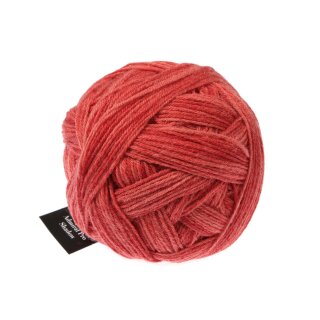 Admiral Pro Shadow Roter Ocker 2371_ von Schoppel Wolle