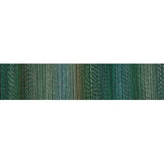 Edition 6.0 Grünzeug  von Schoppel Wolle 1516 2595_