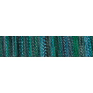 Zauberball Crazy von Schoppel Wolle Cool Botanical Garden Inspiratiom Kieran Foley 2542_