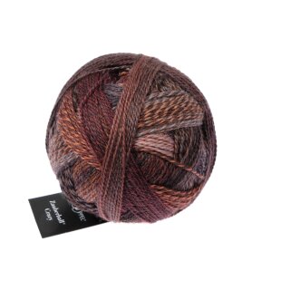 Crazy Zauberball 1153 2544_Late Autumn Inspiratipn Kieran Foley von Schoppel Wolle