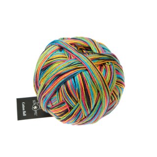 Cotton Ball  Echte Abwechslung 1647 2338_ von Schoppel Wolle