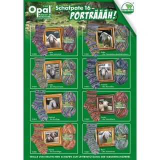 Schafpate 16 - Porträäääh! Wolle von Opal