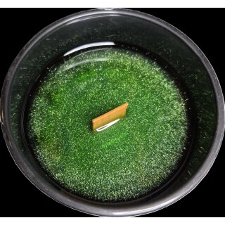 Nature Creations Green Meadow Klein Klar