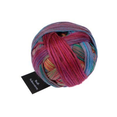 Woll-Schwestern - Clara 2648_  von Schoppel Wolle