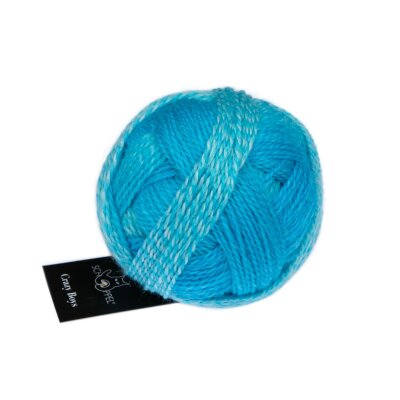 Crazy Boys - Wolle von Schoppel Wolle