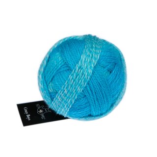 Crazy Boys - Wolle von Schoppel Wolle 2696_Ludwig