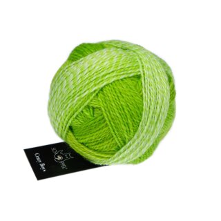 Crazy Boys - Wolle von Schoppel Wolle 2697_Kurt Georg