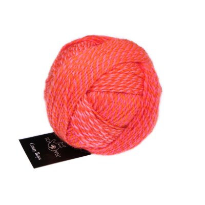 Crazy Boys - Wolle von Schoppel 2705_Gerhard