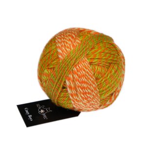 Crazy Boys - Wolle von Schoppel Wolle 2706_Olaf