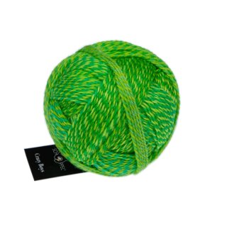 Crazy Boys - Wolle von Schoppel Wolle 2707_Frank Walter