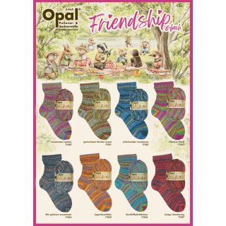 Friendship 6-fach - Wolle von Opal