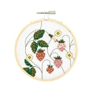 Bild Erdbeeren 10cm Durchmesser, Stickpackung...