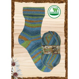 ungezähmte Flüsse 11591