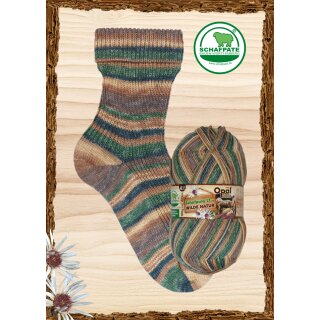 Wacholderbeere 11596