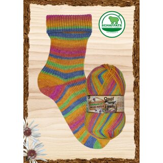 Wildblumenwiese 11597