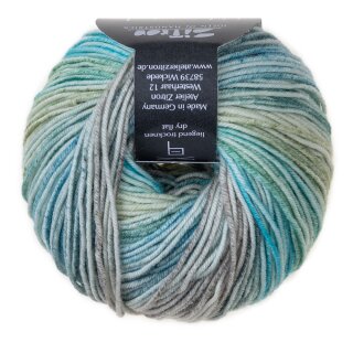 1306 blaugründunkelmeliert