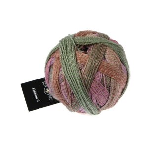 Edition 6.0 - Aurora 1516 2629_