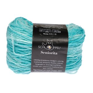 Eisbonbon Insoiration Dibadu 2610_