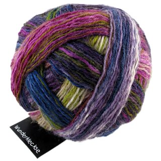 Wunderkleckse Kraut und Rüben 1342 2185_