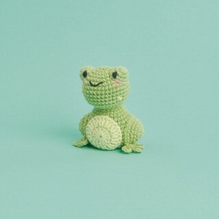 Frosch 043