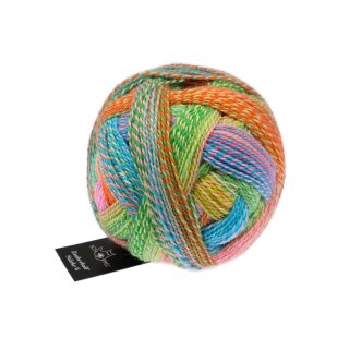 Zauberball Stärke 6 Boygroup 1289 2728_