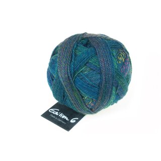 Edition 6.0 - Waschtag 1516 2298_