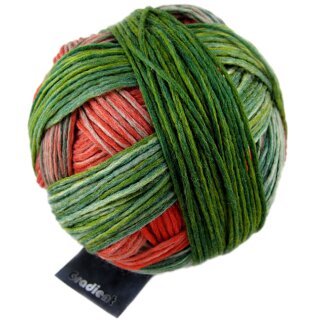 Gradient Papagei 1395 1701_