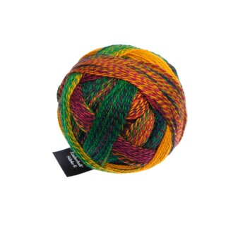 Zauberball Stärke 61505_Kunterbunt