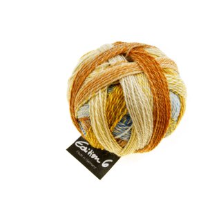 Edition 6.0 von Schoppel Wolle