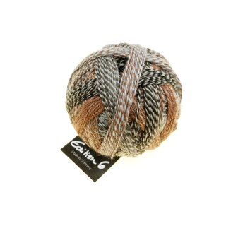 Edition 6.0 - Spurenelemente 1516 2349_