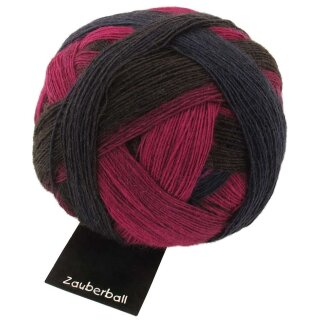 Zauberball Wolle von Schoppel Charisma 2082_