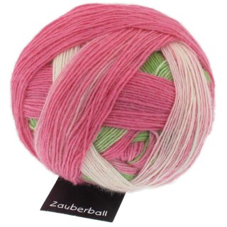 Zauberball Wolle von Schoppel durch die Blume 2079_