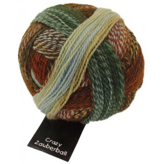 Crazy Zauberball Flussbett 1153 1660_