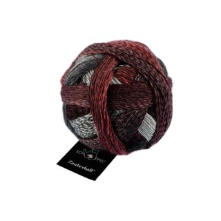 Zauberball Wolle von Schoppel Aldebaran 2402_