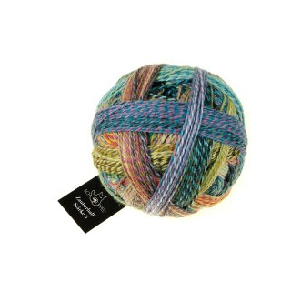 Zauberball Stärke 6 Gartenparty 1289 2355_