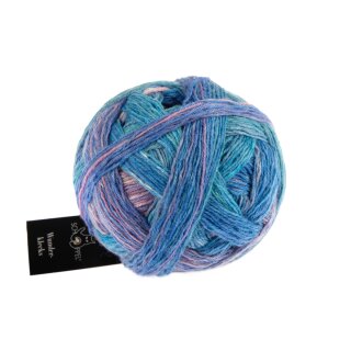 Wunderkleckse Fuji lights 1342 2431_