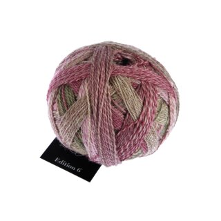 Edition 6.0 - Holzklasse 1516 2442_